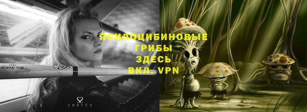 сатива Вяземский