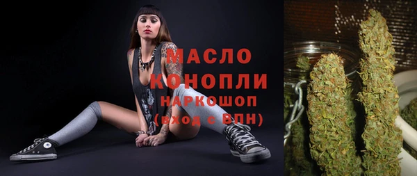 сатива Вяземский