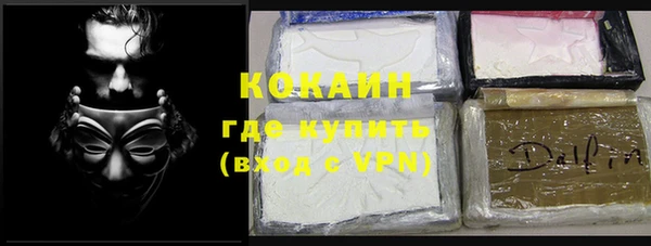 сатива Вяземский
