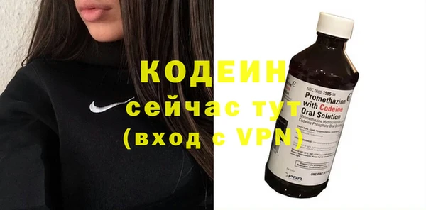 сатива Вяземский