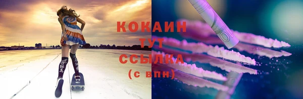 сатива Вяземский