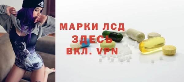 сатива Вяземский
