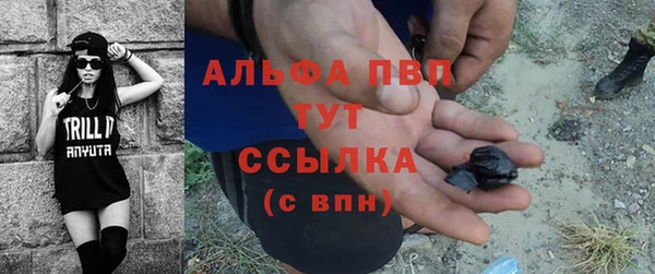 сатива Вяземский