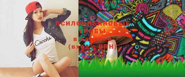 сатива Вяземский