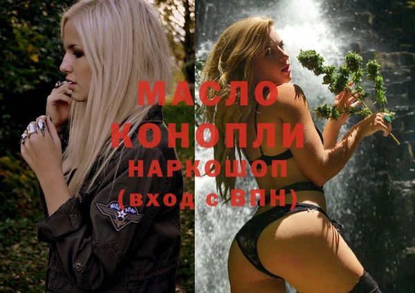 сатива Вяземский