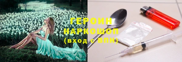 сатива Вяземский