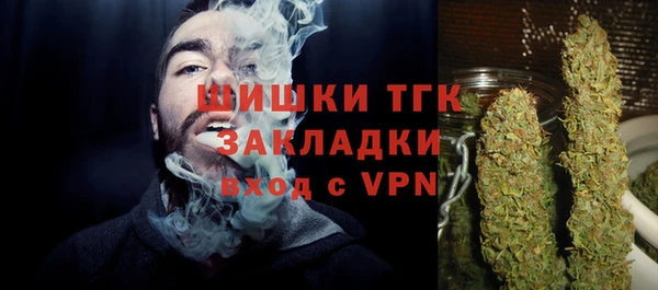 сатива Вяземский